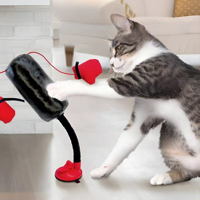 Cat Boxing Gloves Fun Teaser Toy